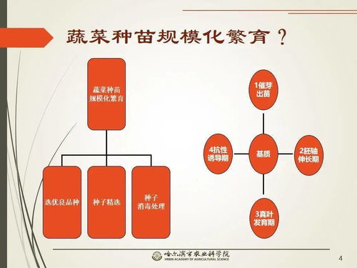 黨建引領謀發展 科技助農備春耕 網絡課堂開啟工廠化育苗知識小百科
